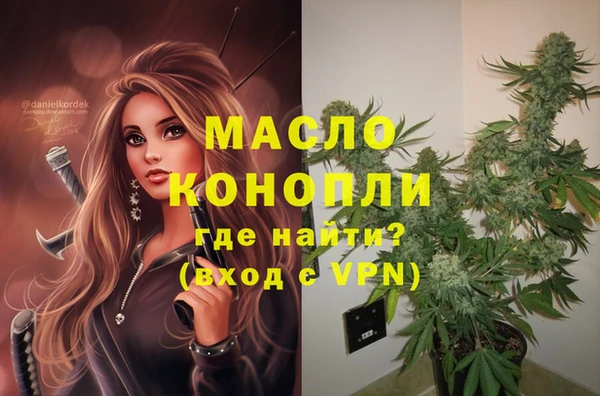 дживик Ладушкин