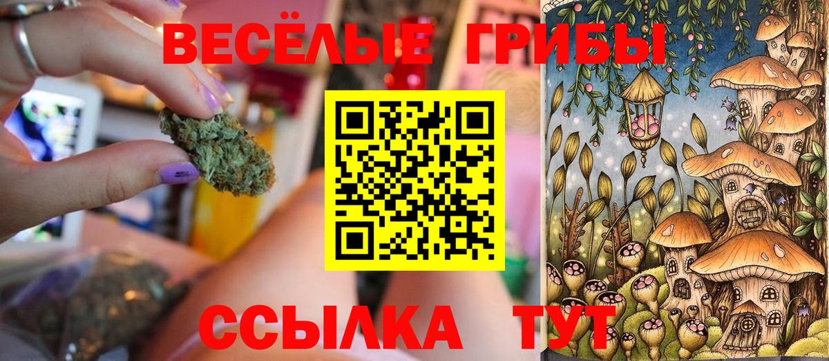 Галлюциногенные грибы Cubensis Тихвин