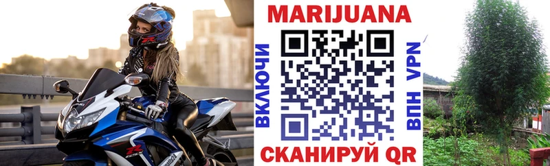 omg ссылки  Тихвин  Канабис индика 